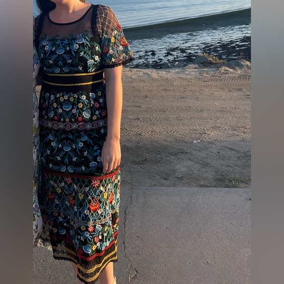 Anthropologie Esther Embroidered Midi Dress - Picture 4 of 5